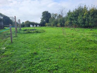 photo For sale Land FIEFS 62