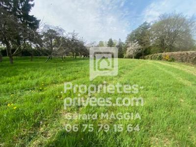 Vente Terrain MOLAC 56230