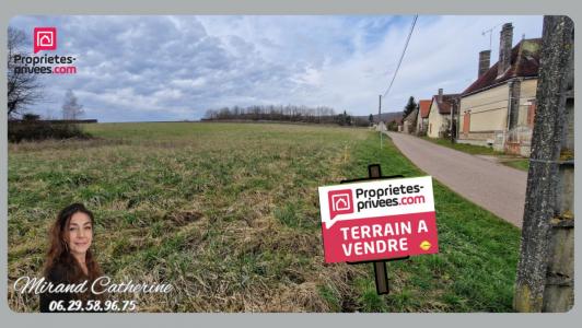 photo For sale Land VOSNON 10