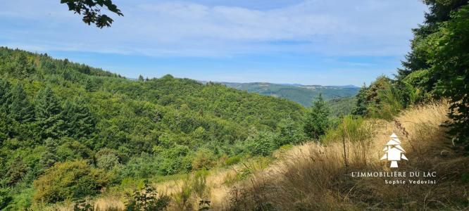 For sale House SAINT-JEAN-ROURE 