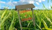 Annonce Vente Terrain Kerlouan