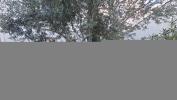 Acheter Appartement 161 m2 