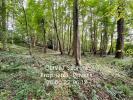 Annonce Vente Domaine forestier Quincampoix