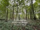 Acheter Domaine forestier 23267 m2 Quincampoix