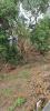 Vente Terrain Trois-bassins 974
