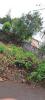 Annonce Vente Terrain Trois-bassins