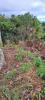 Acheter Terrain 291 m2 Trois-bassins