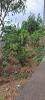 Acheter Terrain Trois-bassins 127290 euros