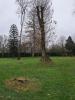 Land CHAPELLE-CARO VAL-D-OUST