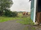Vente Maison Chatillon-sur-indre 36