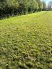 Annonce Vente Terrain Vesly