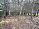 Annonce Vente Terrain 