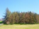 Vente Terrain Lombers  81120 4000 m2