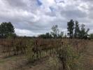 Vente Terrain Castillon-du-gard 30