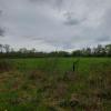 Acheter Terrain Coullons Loiret