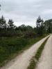 House CERCOUX 