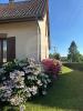 Annonce Vente 5 pices Maison Neuville-sous-montreuil