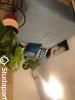 Annonce Location Appartement Paris-10eme-arrondissement