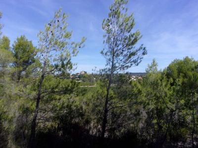For sale Land SAINT-PONS-DE-MAUCHIENS  34