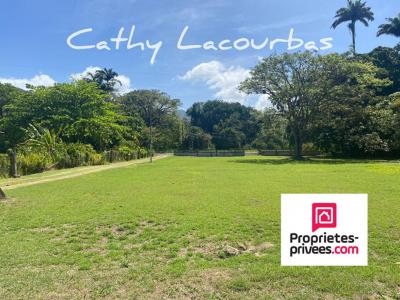 photo For sale Land POINTE-NOIRE 971