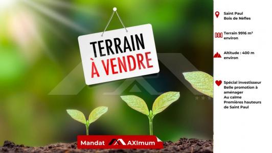 photo For sale Land BOIS-DE-NEFLES-SAINT-PAUL 974