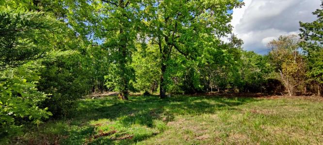 photo For sale Land VILLEFRANCHE-DE-LONCHAT 24