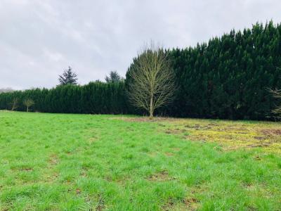 Vente Terrain ROYE  80