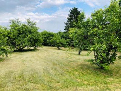 photo For sale Land LASSIGNY 60