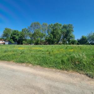 Vente Terrain JONCHERE  85
