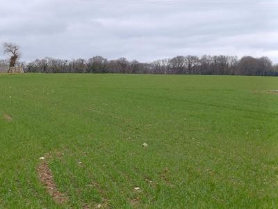 Vente Terrain SAINT-GERAND 56920