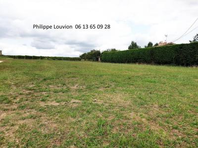 Vente Terrain SAINT-SULPICE-DE-GUILLERAGUES 33580