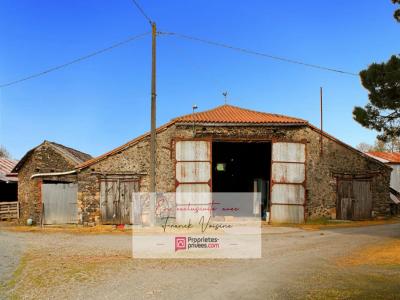 Vente Maison 3 pièces MOUCHAMPS 85640