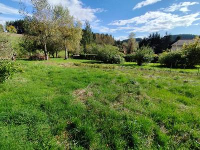 Vente Terrain SEAUVE-SUR-SEMENE 43140