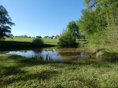 For sale Land SAINTE-TRIE  24