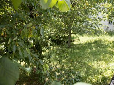 Vente Terrain MOUTHIER-HAUTE-PIERRE 25920