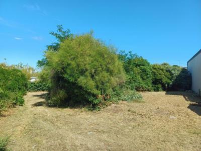 photo For sale Land QUIBERON 56