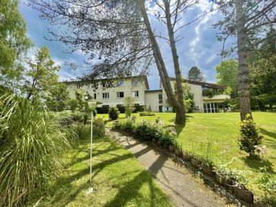 Vente Local commercial PEYRAT-DE-BELLAC 87300