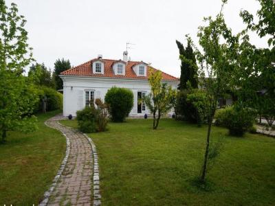 photo For rent House SAINT-MEDARD-EN-JALLES 33