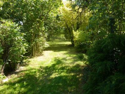 Vente Maison 4 pièces MAYENNE 53100