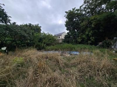 Vente Terrain LONGPONT-SUR-ORGE  91