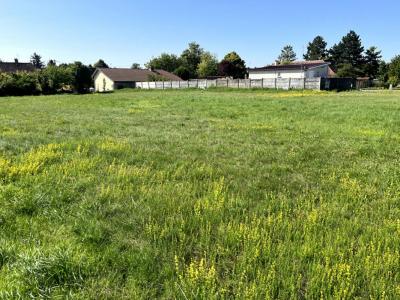 Vente Terrain GRANDES-CHAPELLES 10170