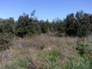 Acheter Terrain 2300 m2 Saint-pons-de-mauchiens