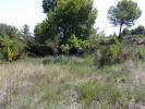 Annonce Vente Terrain Saint-pons-de-mauchiens