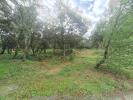 Annonce Vente Terrain Garde-adhemar
