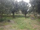 Acheter Terrain Garde-adhemar 460000 euros