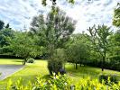 Annonce Vente 6 pices Maison Beaufort-en-vallee