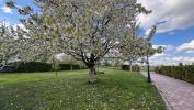 Acheter Maison 370 m2 Colmar