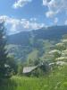 Annonce Vente Terrain Megeve