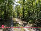 Acheter Terrain 32767 m2 Gy-en-sologne