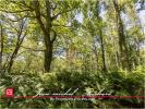 Acheter Terrain Gy-en-sologne Loir et cher